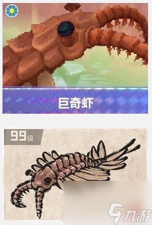 潜水员戴夫巨奇虾捕捉攻略