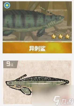 潜水员戴夫异刺鲨怎么捉