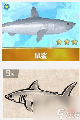 《潜水员戴夫》鼠鲨捕捉方法