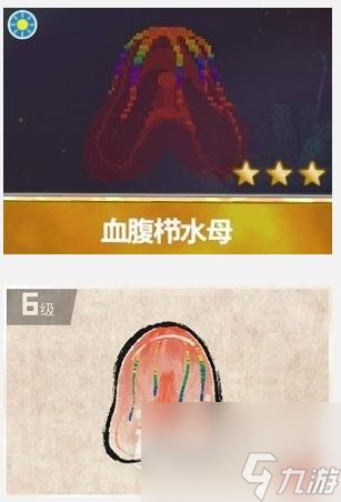 《潜水员戴夫》血腹栉水母捕捉攻略