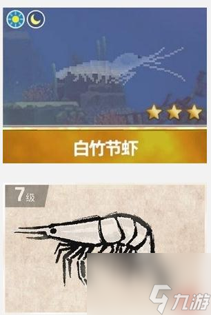 潜水员戴夫白竹节虾捕捉攻略