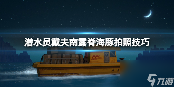 《潜水员戴夫》南露脊海豚怎么拍照？南露脊海豚拍照技巧