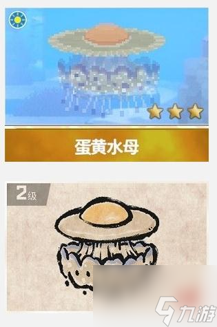 潜水员戴夫三星蛋黄水母在哪抓