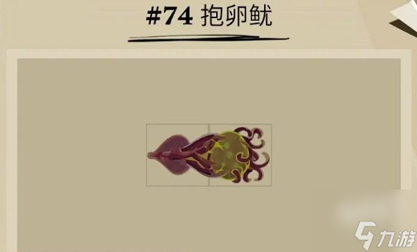 渔帆暗涌抱卵鱿在哪里
