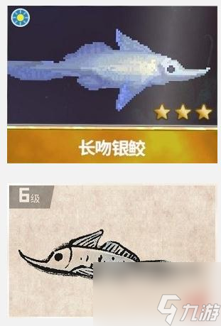 潜水员戴夫3星长吻银鲛捕捉攻略