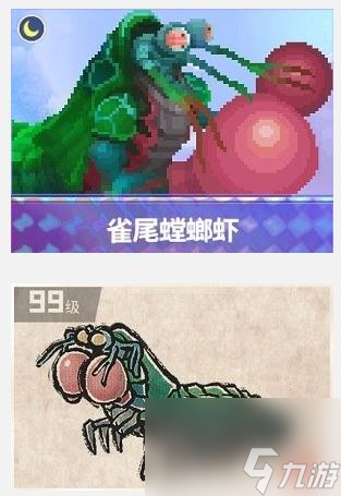 潜水员戴夫雀尾螳螂虾在哪抓