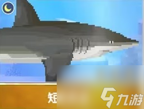 《潜水员戴夫》短尾真鲨抓捕攻略