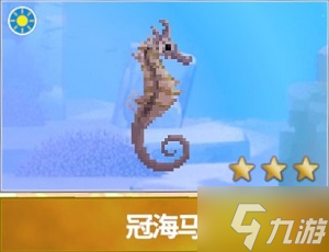潜水员戴夫海马图鉴
