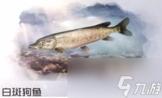黎明觉醒生机白斑狗鱼在哪里钓
