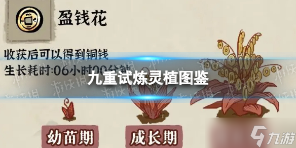 《九重试炼》灵植图鉴 画中境灵植介绍