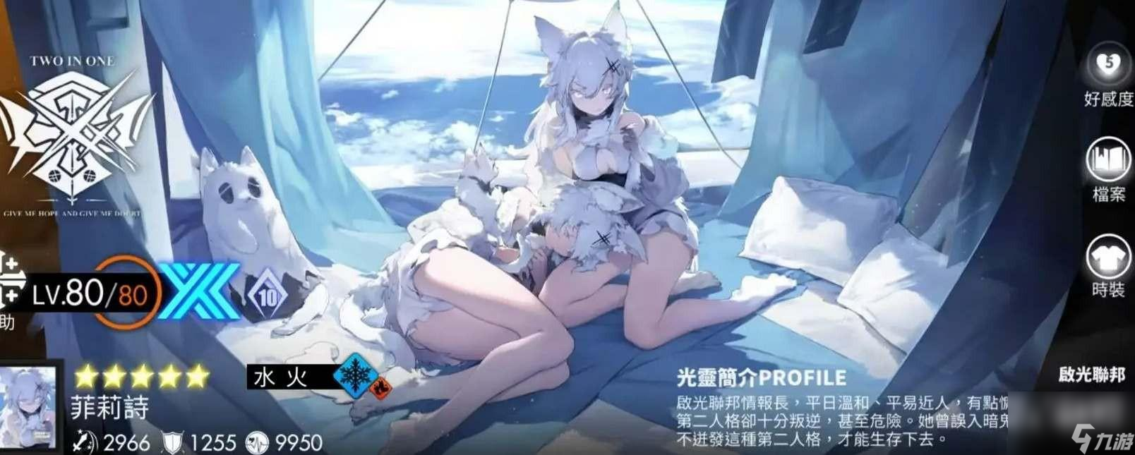 白夜极光水队阵容怎么玩