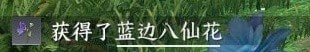 逆水寒手游蓝边八仙花在哪里 详细位置攻略分享