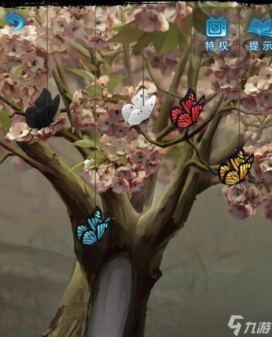 无间梦境纸嫁衣5蝴蝶摆放顺序是什么