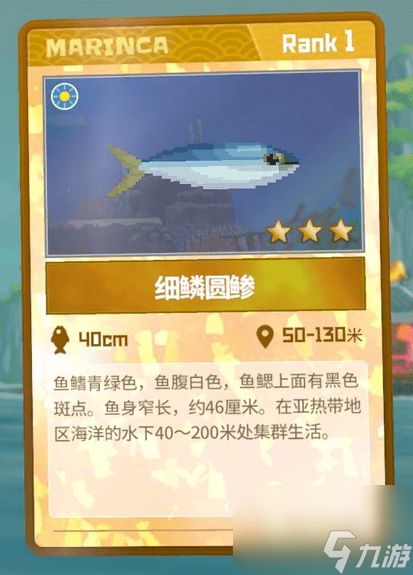 潜水员戴夫怎么抓细鳞圆鲹