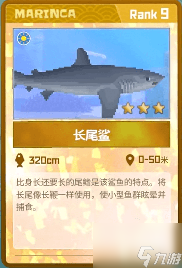 潜水员戴夫长尾鲨在哪