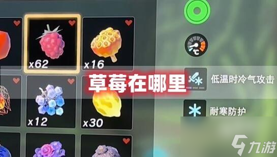王国之泪草莓在哪里