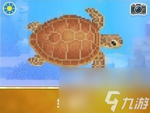 《潜水员戴夫》红海龟捕捉攻略