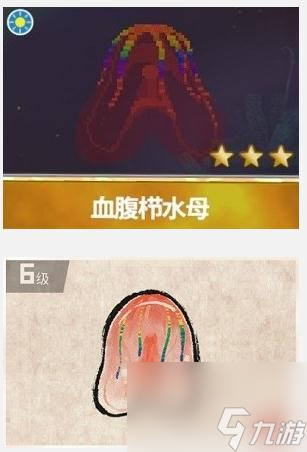 《潜水员戴夫》血腹栉水母捕捉攻略