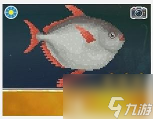 《潜水员戴夫》月鱼捕捉攻略