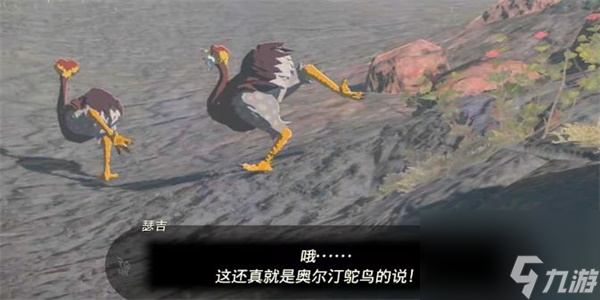 塞尔达传说王国之泪奥尔汀鸵鸟的布料获取方法-奥尔汀鸵鸟的布料获取方法