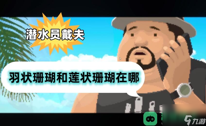 羽狀珊瑚和蓮狀珊瑚位置介紹_潛水員戴夫羽狀珊瑚和蓮狀珊瑚在哪