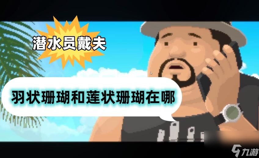 潜水员戴夫羽状珊瑚和莲状珊瑚在哪