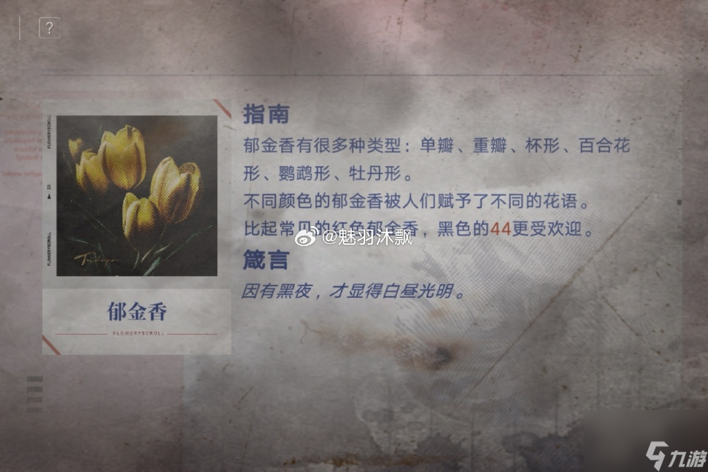 无期迷途花笺密文是什么 无期迷途花笺密文答案一览