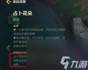《英雄联盟手游》占卜花朵作用介绍