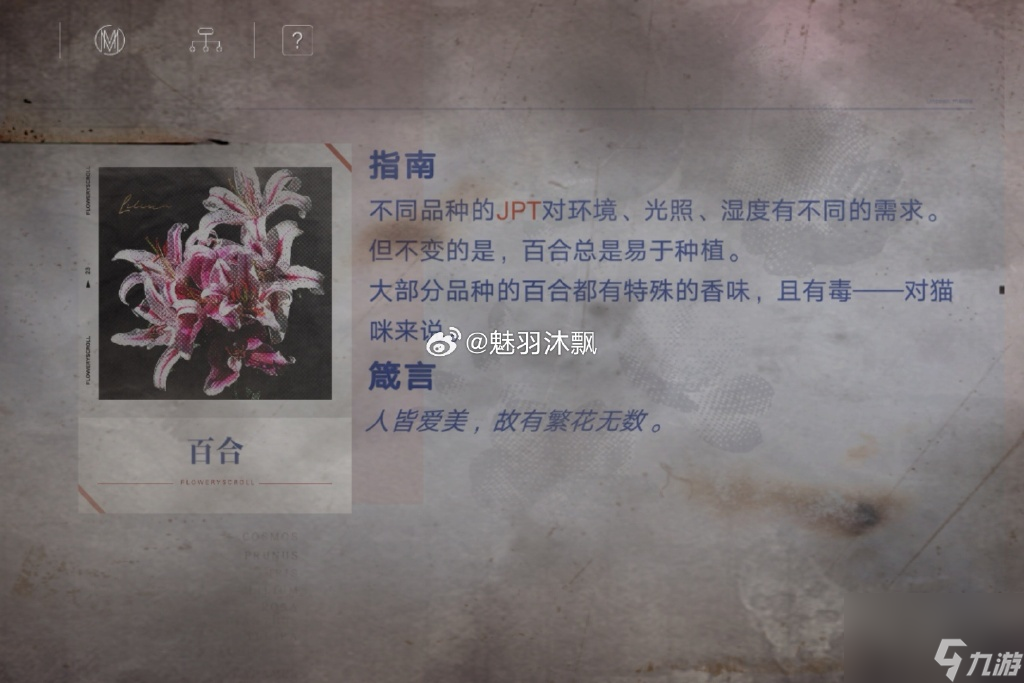 无期迷途花笺密文是什么 无期迷途花笺密文答案一览