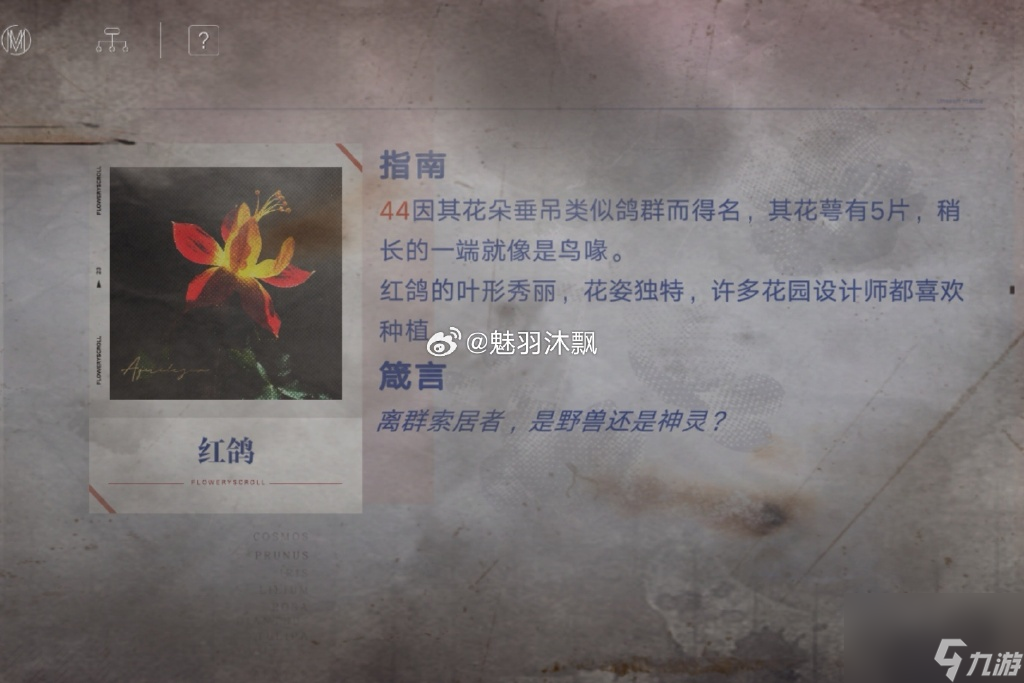 无期迷途花笺密文,无期迷途花笺解密