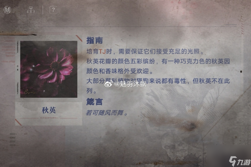 无期迷途花笺密文是什么 无期迷途花笺密文答案一览