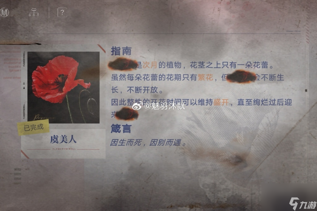 无期迷途花笺密文是什么 无期迷途花笺密文答案一览