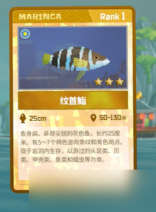 潜水员戴夫怎么抓纹首鮨 详细捕捉攻略分享