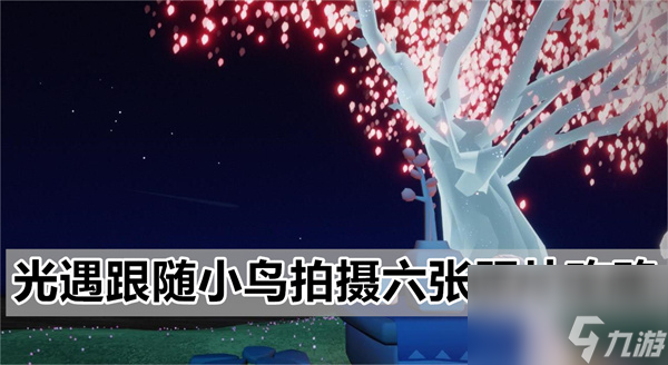 光遇跟随小鸟拍摄六张照片怎么拍 跟随小鸟拍摄六张照片攻略