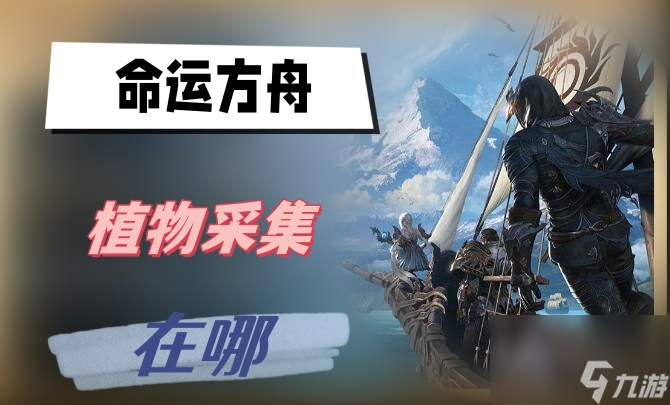 命运方舟植物采集在哪-植物采集地点位置