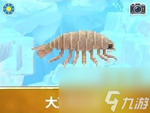 潜水员戴夫大王具足虫怎么捉
