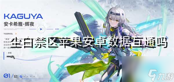 尘白禁区苹果安卓数据互通吗
