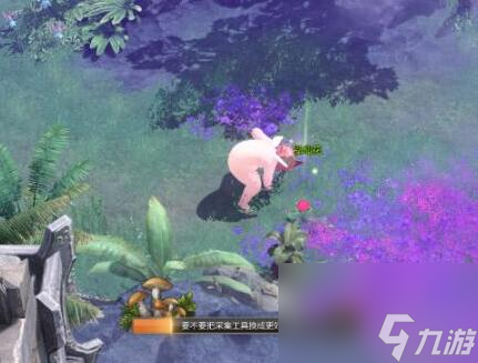 命运方舟植物采集的位置