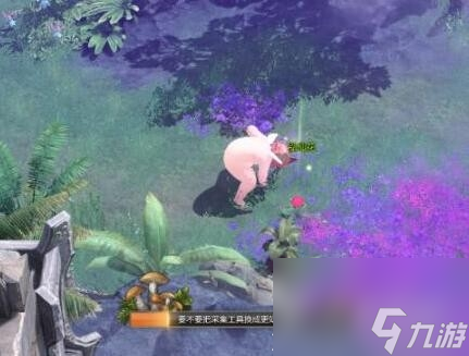 《命運方舟》植物采集方法