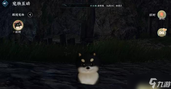 《逆水寒手游》宠物怎么获得 宠物系统玩法攻略