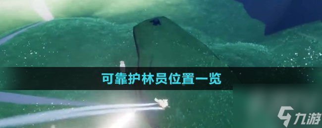 光遇可靠护林员在哪里在哪 光遇可靠护林员在哪里介绍