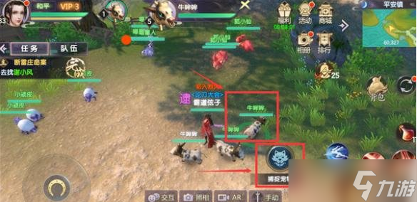 烈火如歌尖针蜂宠物刷新地点分享