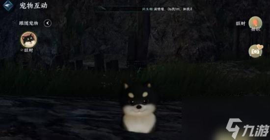 《逆水寒手游》宠物怎么获得 宠物系统玩法攻略