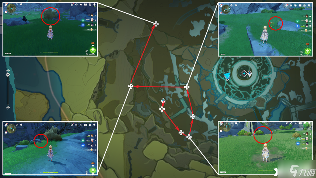 《原神》風(fēng)車菊分布在哪里？風(fēng)車菊分布圖匯總