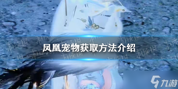 《<a id='link_pop' class='keyword-tag' href='https://www.9game.cn/nishuihan1/'>逆水寒手游</a>》凤凰宠物获取方法介绍