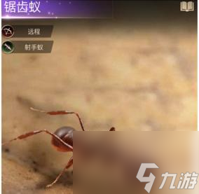 小小蚁国运输蚁最强阵容怎么搭配 