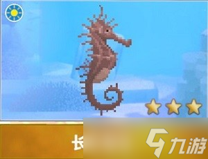 潜水员戴夫海马图鉴有哪些 详细图鉴攻略分享