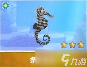 潜水员戴夫海马图鉴有哪些 详细图鉴攻略分享