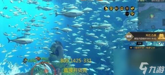 逆水寒手游南海探秘答案怎么玩