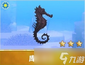 潜水员戴夫海马图鉴有哪些 详细图鉴攻略分享